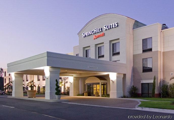 Springhill Suites By Marriott Corpus Christi Esterno foto